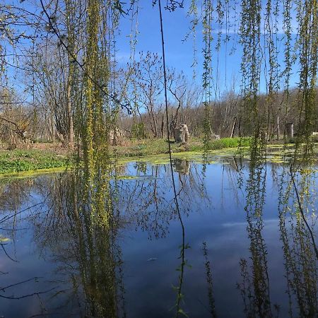 La Barcelle, Une Pause Nature. Perrigny  Luaran gambar